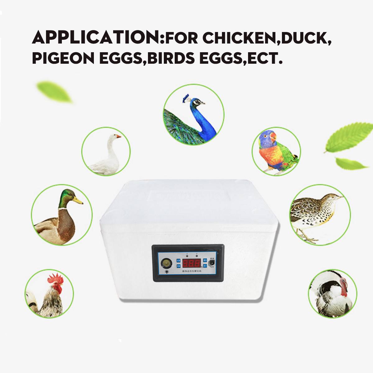 22/42 Eggs Incubation Box Digital Incubator Automatic Suitable for Hatching Snake Lizards Reptile Breeding Box with LED Lighting