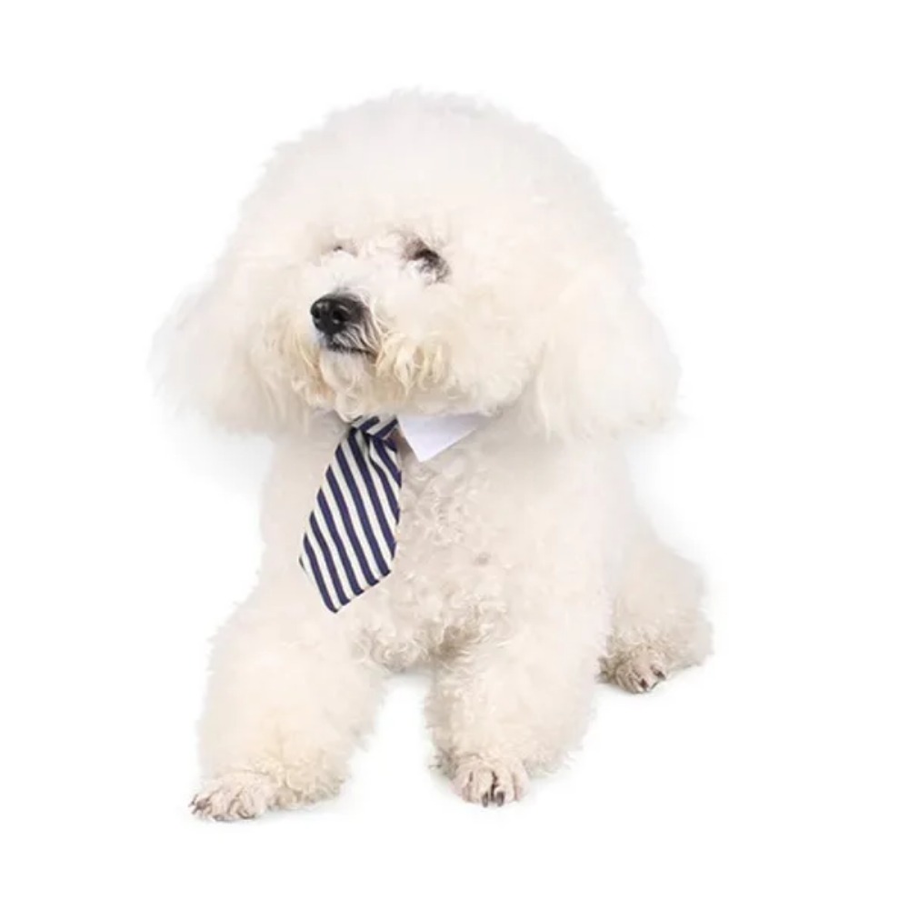 Cravate à nœud papillon pour chiot, cravate réglable pour animaux de compagnie, collier formel pour chien pour petits chiens et chats, cravates de toilettage pour chiots