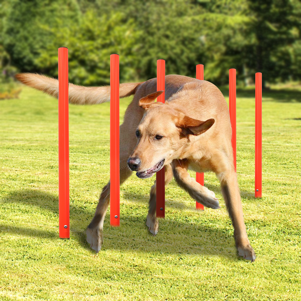 Outdoor Dog Training Equipment Portable Dog Exercise Running Training Jumping Stakes Sports Dogs Agility Equipment Pet Supplies