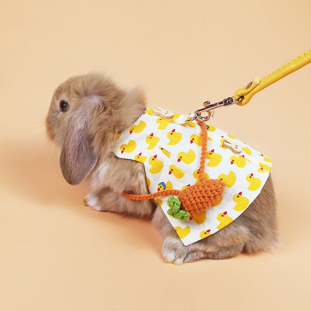Small Animal Clothing Hamster Guinea Pig Clothes Pet Vest Hat Set Outdoor Rabbit Clothes Harness Strap Leash