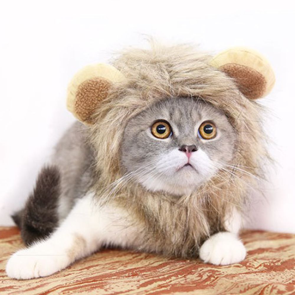 Sombrero para mascotas disfraz de gato Cosplay de León Peluca de crin gorro que cubre las orejas gatito vestido ajustable hasta el sombrero Halloween otoño suministros de invierno para animales