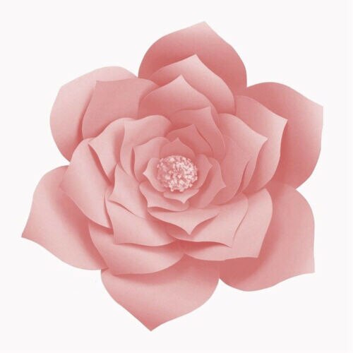 AA 30cm Paper Flower Backdrop Wall 30 cm Giant Rose Flowers DIY Wedding Party Decor: D