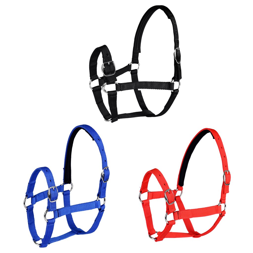 Adjustable Equestrian Western Horse Halter Fits 4.3ft - 5.4ft Horse Black/Blue/Red