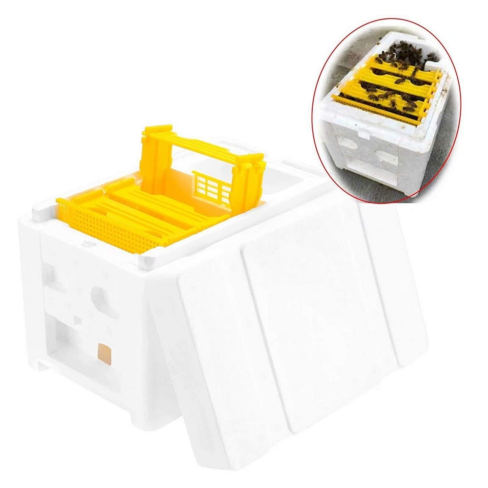 Colmena de abejas reina multifuncional, Material de espuma de plástico, caja doble, herramienta de Apicultura