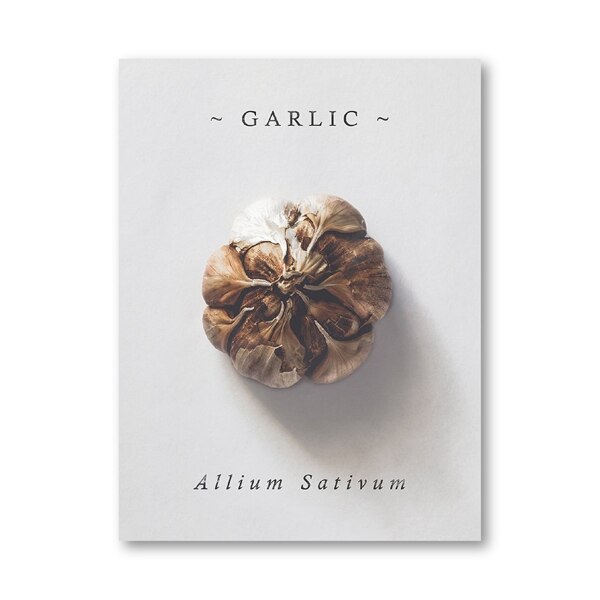 Farmhouse Kitchen Wall Art Posters and Prints Fig Pomegranate Garlic Mushroom Painting Picture Kitchen Gallery Wall Decor: Blue / 21x30cm No Frame