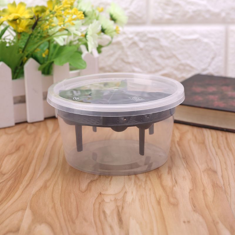 Reptile Egg Incubator Plastic Lizard Snake Gecko Eggs Hatcher Hatching Box aquarium