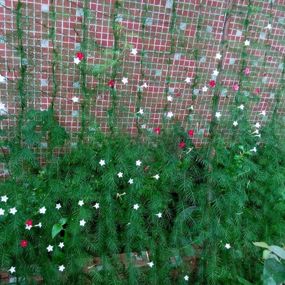 Kraftig nylonnetstøtte til agurk morgen petunia blomster veggie espalier net plante klatrevin