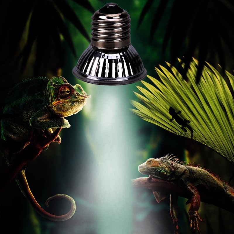 Huisdier Verwarming lamp UVA UVB 220 V 25 w/50 w/75 w Volledige Spectrum Solar Licht crawler Ultraviolet Verwarming Schildpad Zon Lamp Hagedis Lamp