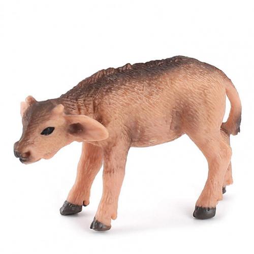 Beeldje Model Prachtige Educatief Livelike Verbazingwekkende Mariene Organismen Miniatuur Speelgoed Voor Kleuterschool: F