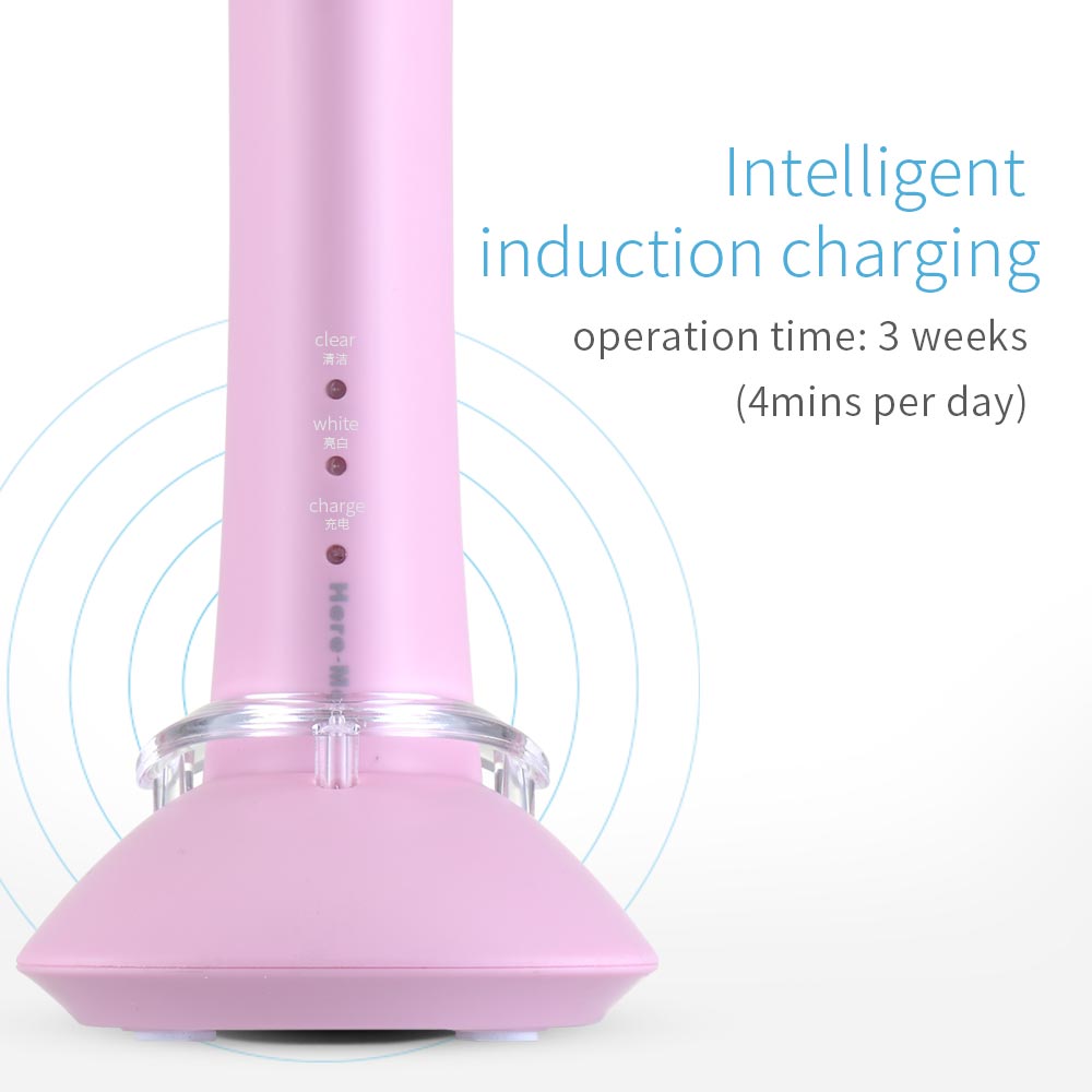 Here Mega Electric Toothbrush Rotating Adult Toothbrush USB Charging Waterproof Cleaning Toothbrush Heads Replaceable Smart R02