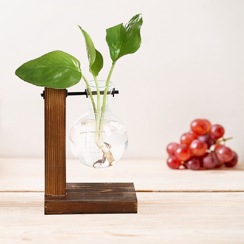 Eenvoudige en glazen flesvaas, houten standaard, hydrocultuurvaas, groene plant, kleine vaas, bureaudecoratie, scandinavische vaas