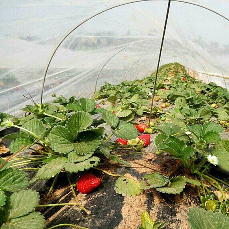 Crop Protection Net Vegetables Fruit Flowers Plant Protection Greenhouse Garden Net Encryption Insect Net GHS99