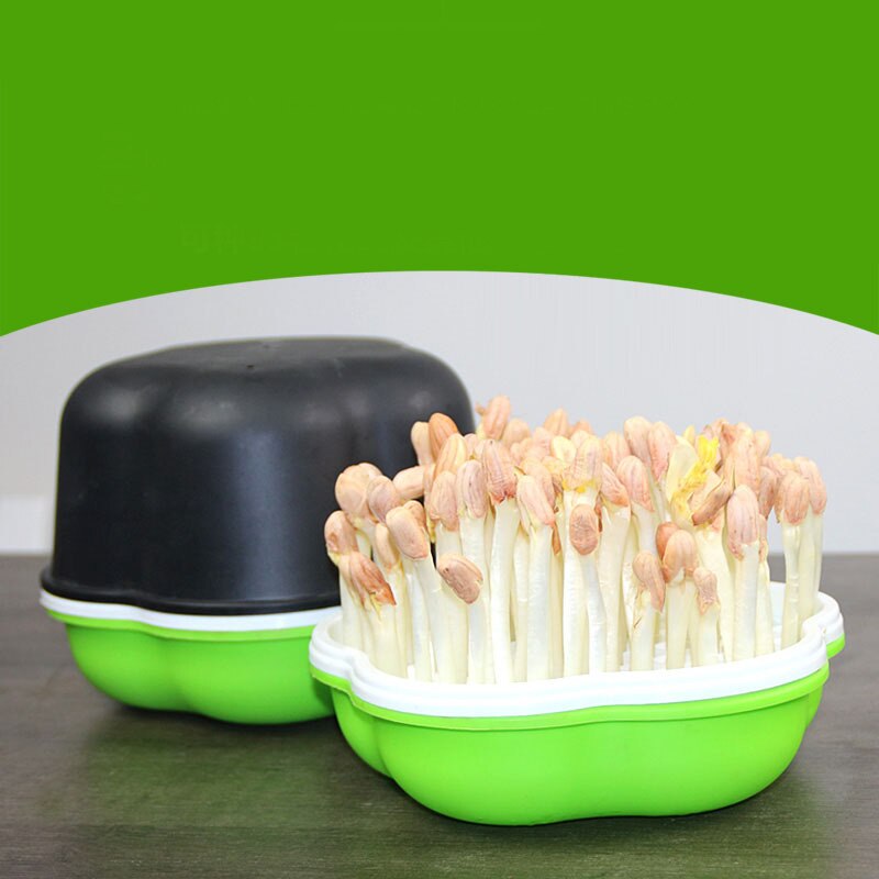 2pz Scatola di Arachidi Germogli di Soia Germogli di Soia Germogli di Soia Piatto di Acqua Coltivazione Piantina Piatto Adatto per il Giardino, Casa, Ufficio