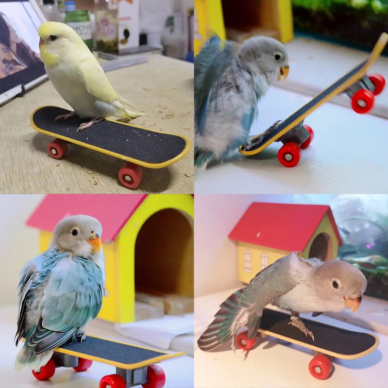 2 Stck Vogel Papagei Intelligenz Spielzeug Mini Ausbildung Skateboard Für Wellensittiche Sittich Wachstum Spielzeug Haustier Spielzeug Vogel Zubehör Krallen