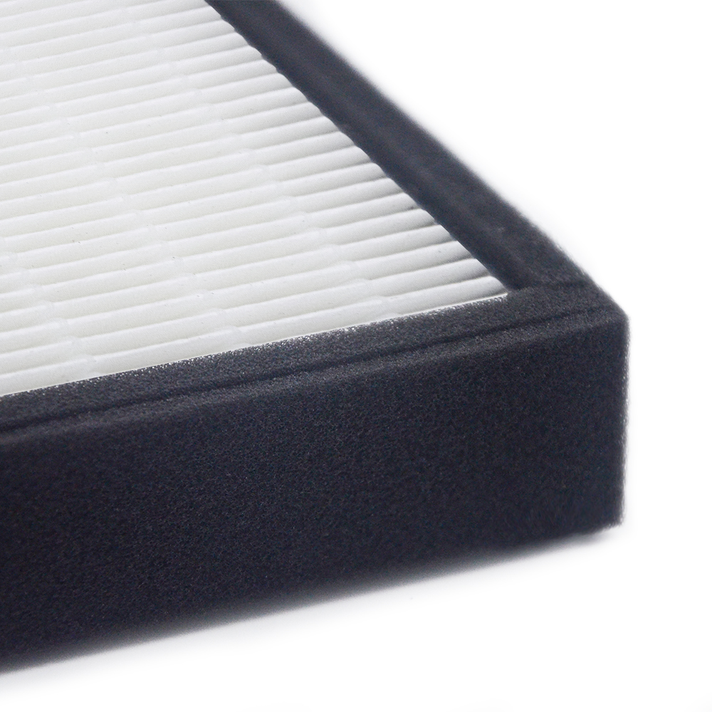 Filterhualv véritable filtre HEPA remplacement pour germe gardien purificateur d'air AC4300BPTCA, AC4900CA, AC4825, AC4825DLX, AC4850PT, CDA