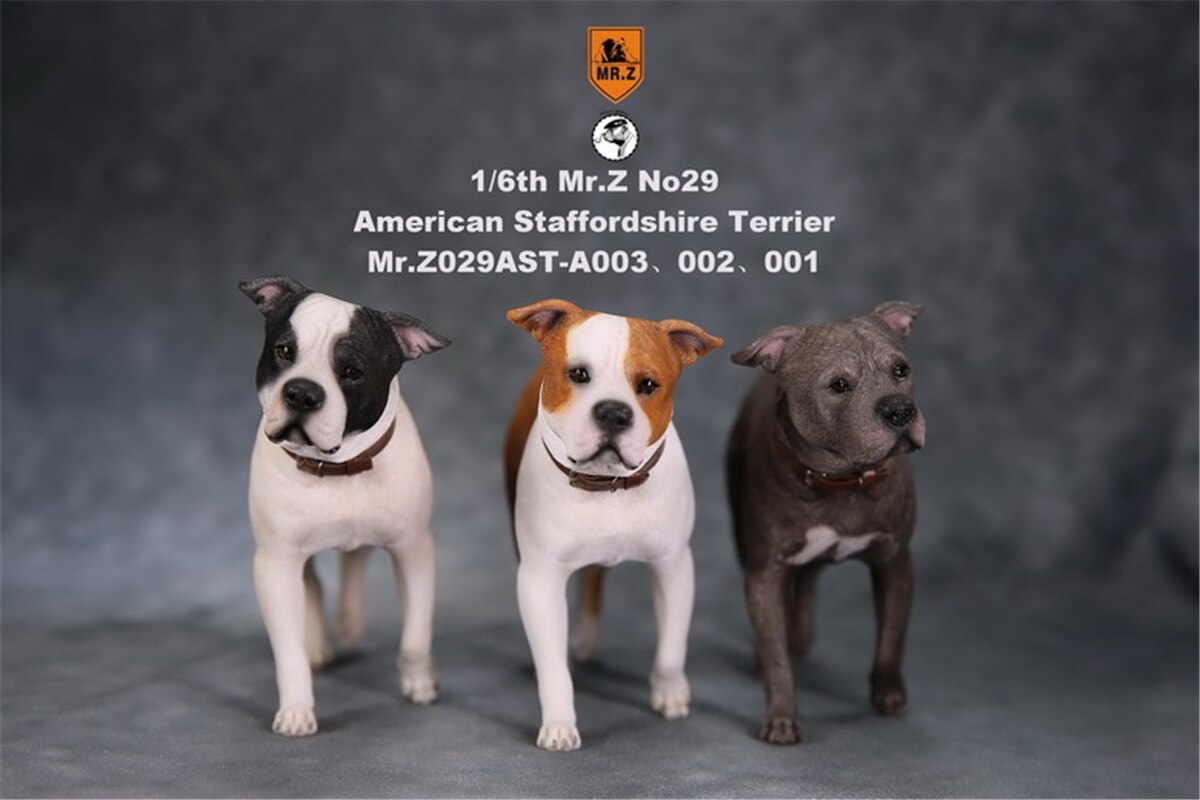 Mr.Z Studio 1:6 American Staffordshire Terrier Dog Pet Healing Figure Canidae Animal Model Toy Collector Desktop Decor Adult