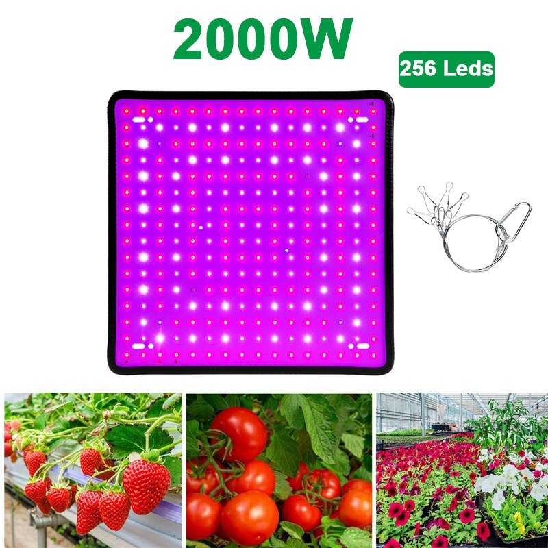 2000w crescer luz led espectro completo lâmpada 1500w 1000 led planta lâmpada estufas indoor phyto lâmpada crescer tenda eua ue reino unido plug: Type 3-2000W-256Leds / EU Plug