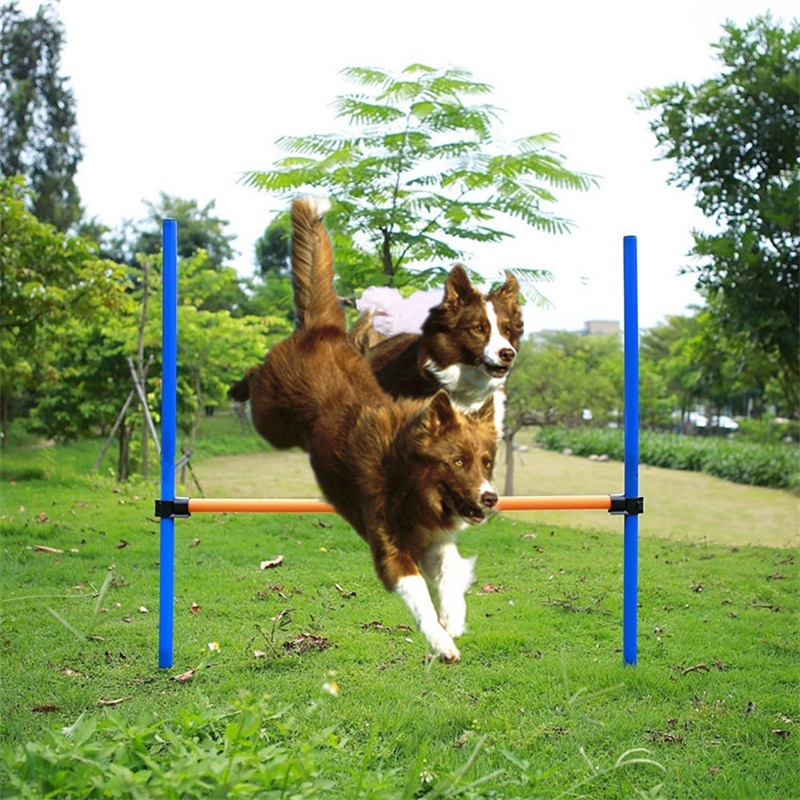 Outdoor Game Exercise Training Equipment For Medium Large Dogs Agile Barrier Bar Puppy Jump High Toys Pet Sports Accessories