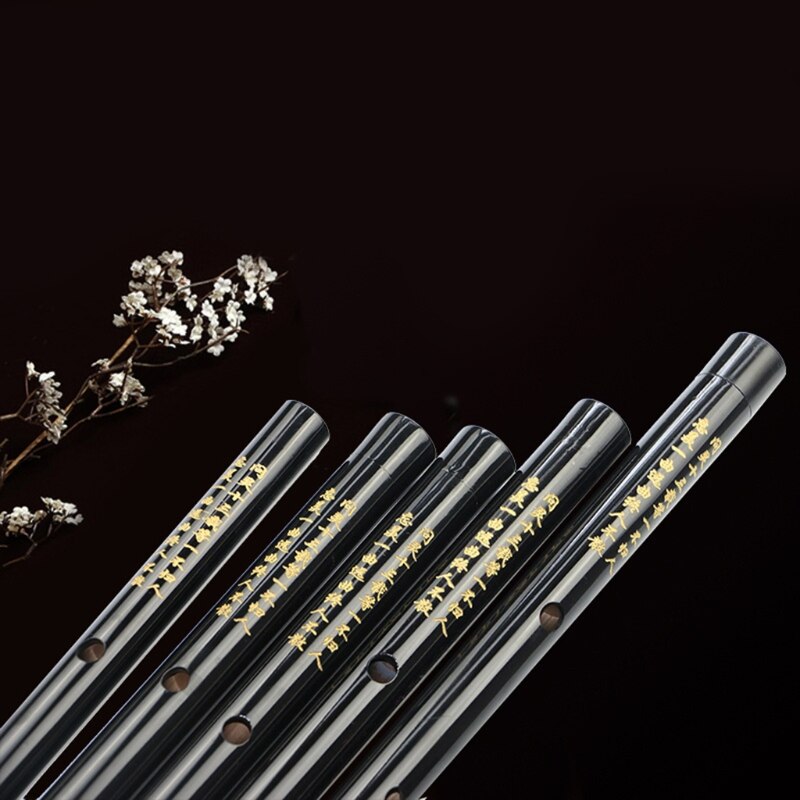 Flauta china tradicional, instrumentos musicales, flauta Dizi de bambú para principiantes, llave transversal C D E F G