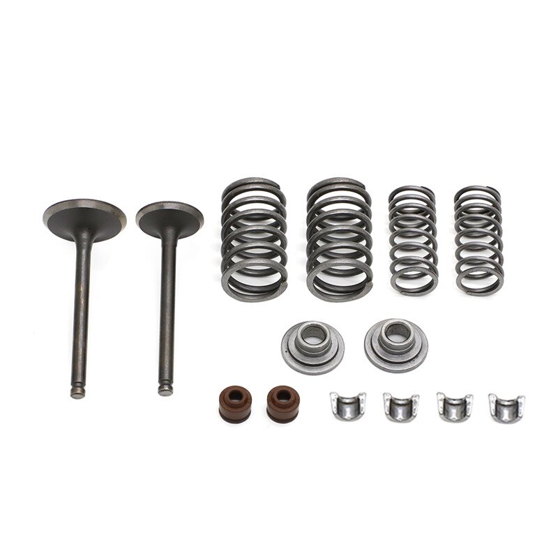 CYLINDER VALVES KIT for CHINESE SSR ROKETA COOLSTER TAOTAO TRUE 125CC ATV DIRT BIKE 125 cc Engine