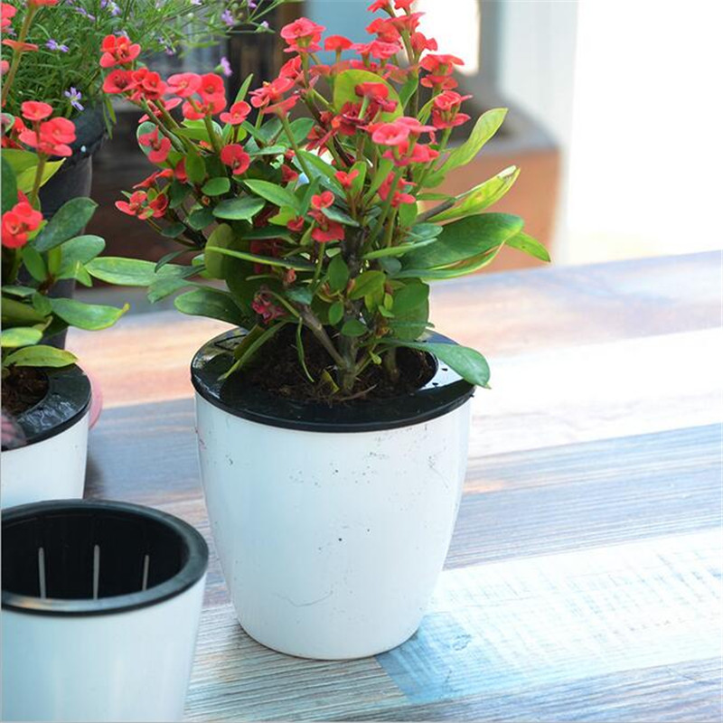 Automatic Water-absorbing Flower Pots Bonsai Multi-meat Plant Hydroponic Potted Large Plastic Flower Pots