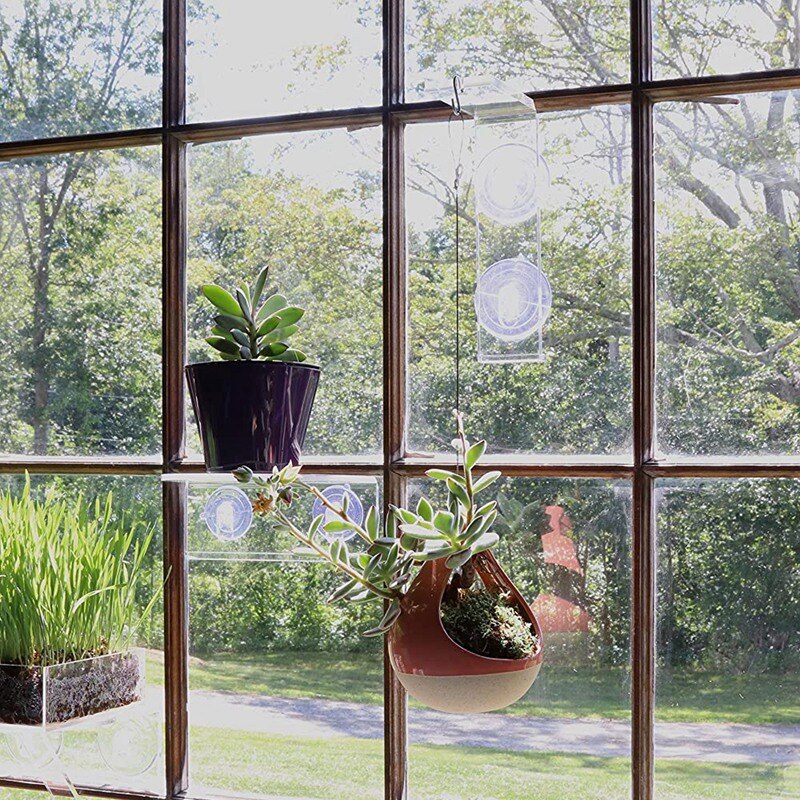 Ledge Suction Cup Window Shelf Acrylic Plant Windo... – Grandado