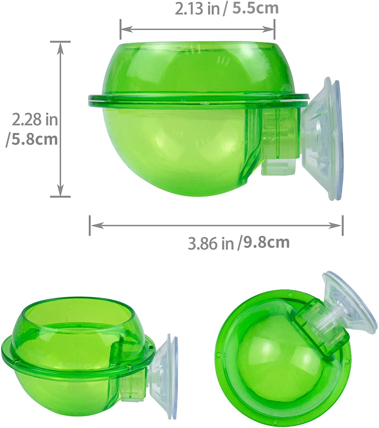 Reptile Feeder Chameleon Feeding Food Bowl Water Dish Suction Cup for Gecko Lizard Bearded Ledge Supplies Pets Accessories: Default Title