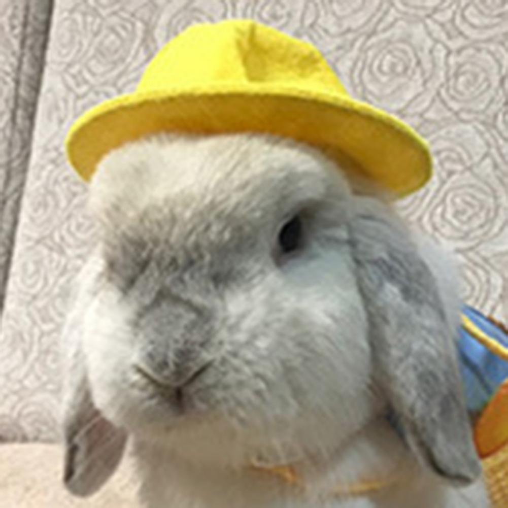 Cavia Hoed Mooie Vorm Huisdier Kostuum Hamster Hoed Jurk Up Bunny Hoed Handgemaakte Kleine Dieren Kostuum Cap