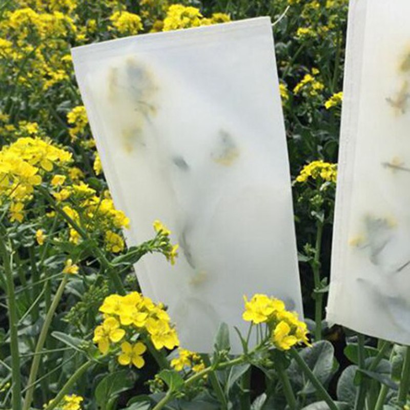50pcs Agricultural Pocket Culture Crops Wheat Corn Pollination Breeding Bags Sulfuric Acid Paper Bag Garden Fruit Head Bagging