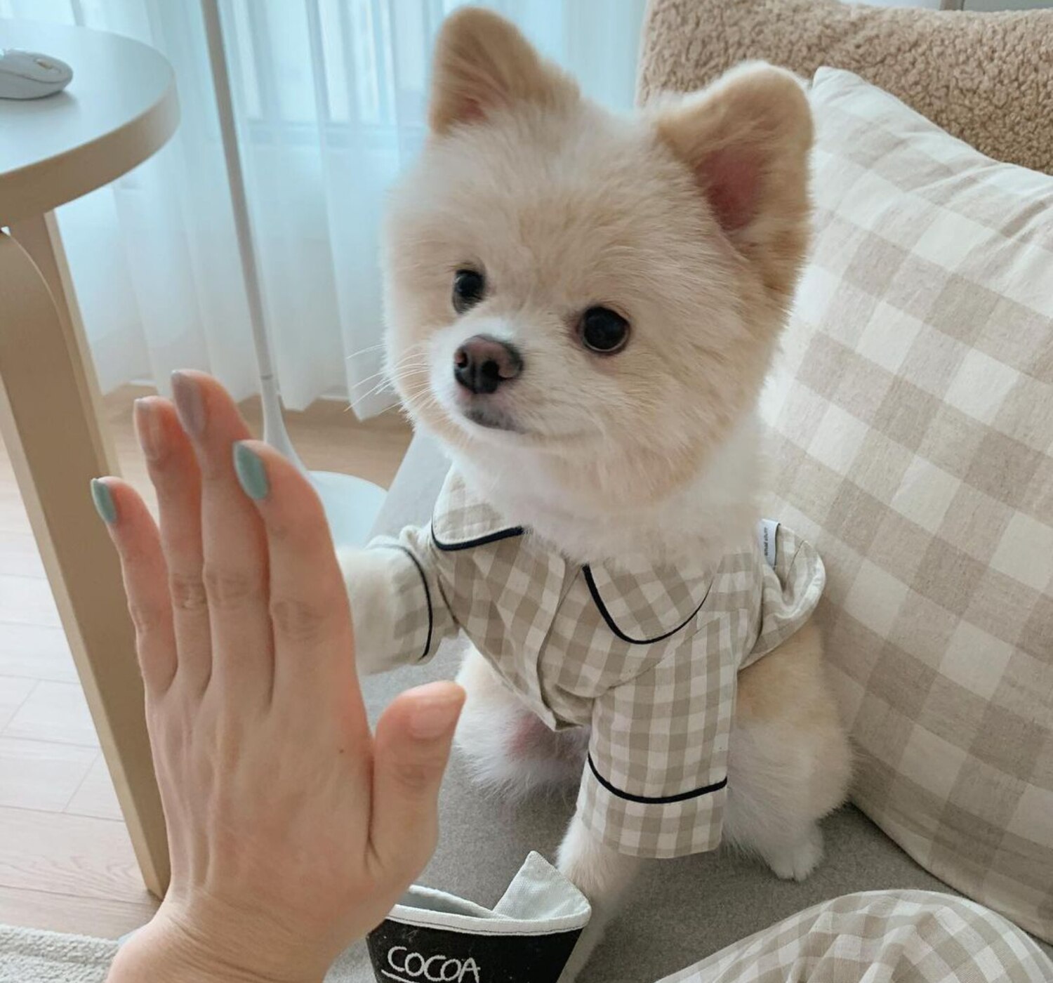 LVTUBANLV Knuffelen Dog Shirt Cotton Plaid Pajamas Puppy Clothes for Small Dogs Cats Stylish Pet Pjs Sleepwear Soft Breathable