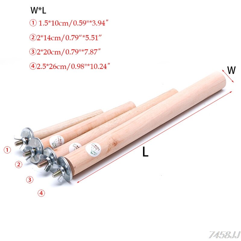 Jouet perroquet en bois brut pour animaux | Branche de perroquet, perchoirs de Hamster pour Cage à oiseaux, nouvelle directe