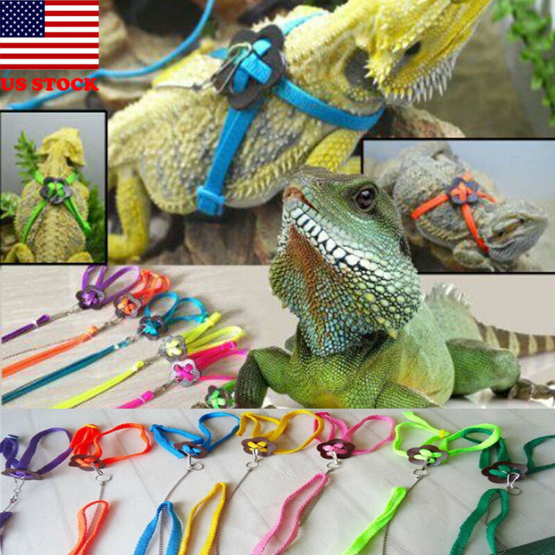 6 väriä matelija lisko valjaat hihna polyesteri säädettävä vetämällä köysi köysi pieni eläin kaulus lemmikkityyli kestävä monivärinen