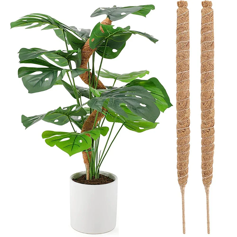 Poste de musgo para plantas trepadoras de interior, enredaderas para cultivar plantas hacia arriba, soporte para plantas con lazos de jardín, 60/70/80/90/100/110/120CM, 1 unidad