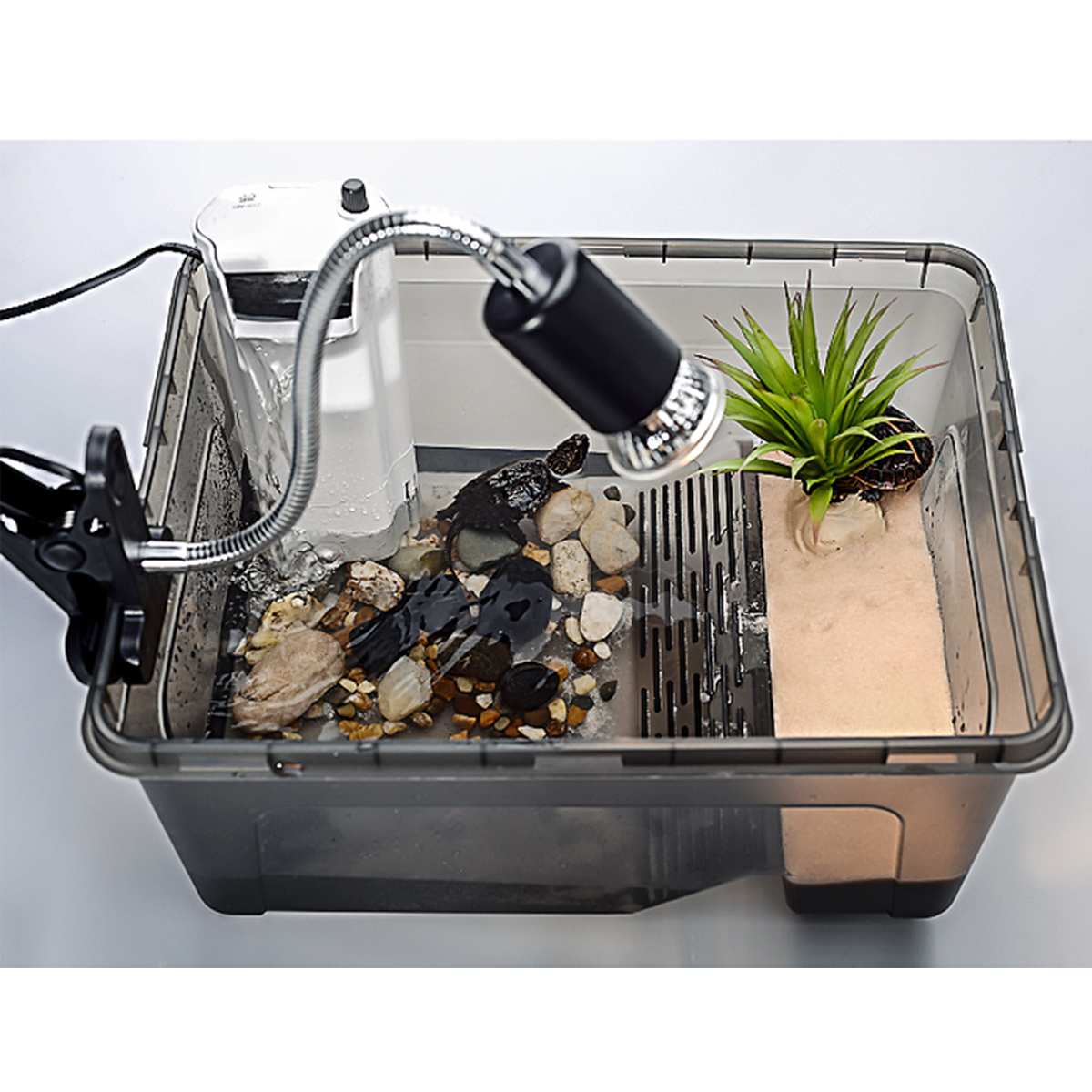 Recipiente de plástico transparente para acuario, recipiente de alimentación para cría de peces, caja de aislamiento para reptil de insectos, jaula para mascotas, suministros para terrarios
