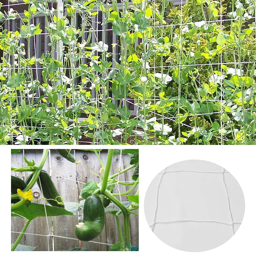 5/10m polyester växt nät loofah nät för morgon ära vinstockar blommor trädgårdsväxter klättring nät gurka vinstock växa hållare