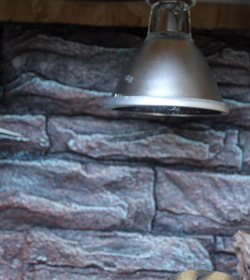 1PC rettile lampada di riscaldamento a infrarossi lontani terrario tartaruga lucertola camaleonte riscaldamento luce notturna habitat in ceramica forniture per animali domestici