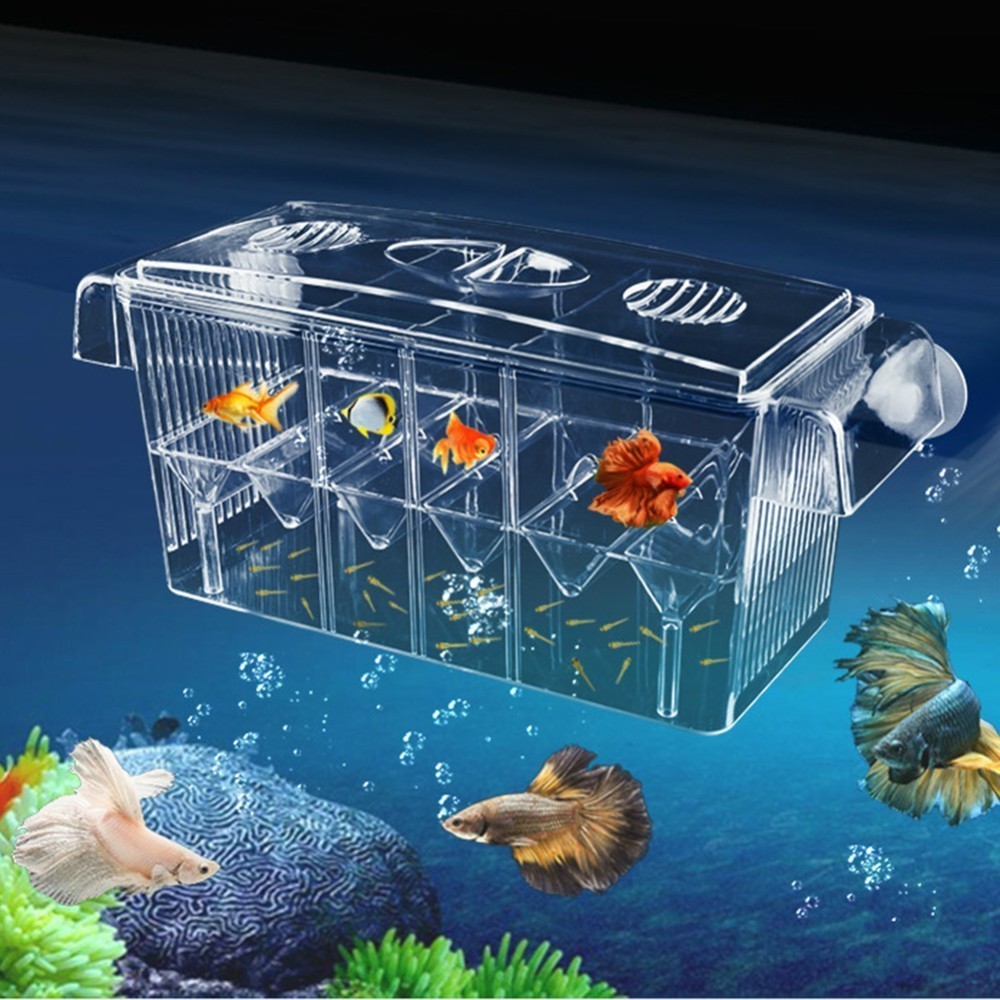 4 kamers Hoge Clear Visteelt Doos Acryl Aquarium Fokker Doos Dubbele Guppies Uitkomen Incubator Isolatie