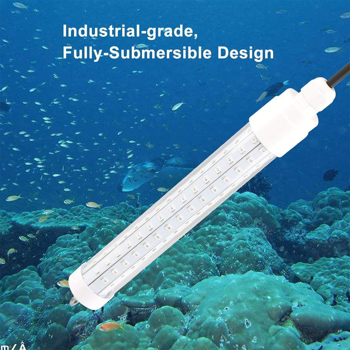 Luz LED de pesca de 10W y 12V, luces LED subacuáticas para estanques que atraen peces, lámparas LED de atracción nocturna, luz sumergible, herramienta de pesca