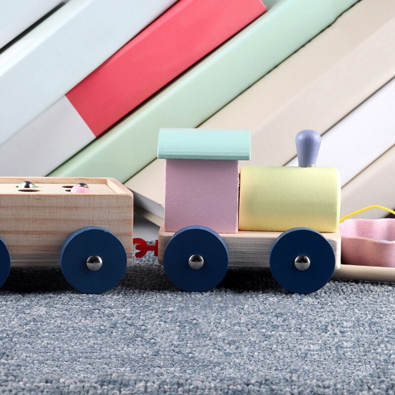 Juguetes interactivos de madera para niños, juegos magnéticos, pesca, gusano, juguetes educativos para edades tempranas