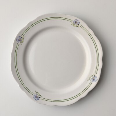 Plato de pastel Vintage, platos de postre de cerámica estilo Pastoral, plato de cena, servicio doméstico, vajilla, platos Retro de boda: 8inch green side