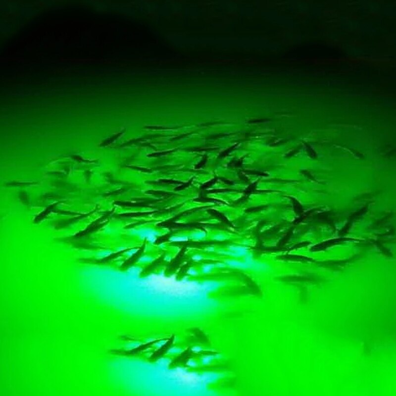 12V 14W Green Fishing Light 72 pcs 1296 lumens LED Underwater Fishing Light Lures Fish Finder Lamp Attracts Prawns Squid Krill