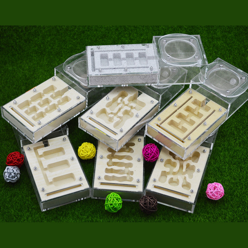 Diy With Feeding Area Ant Nest ,ant Farm Acryl, Insect Ant Nests Villa Pet Mania For House Ants