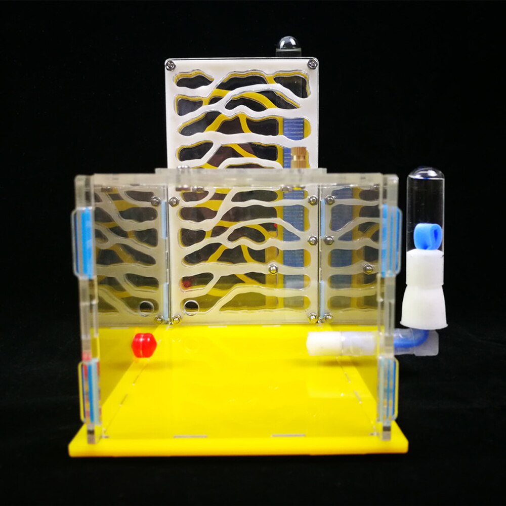 Ant Nest Ant Farm With 2 Nests 1 Water Tower 1 External Water Bowl Ant Home DIY Feeding Area Insect Villa Pet Mania House