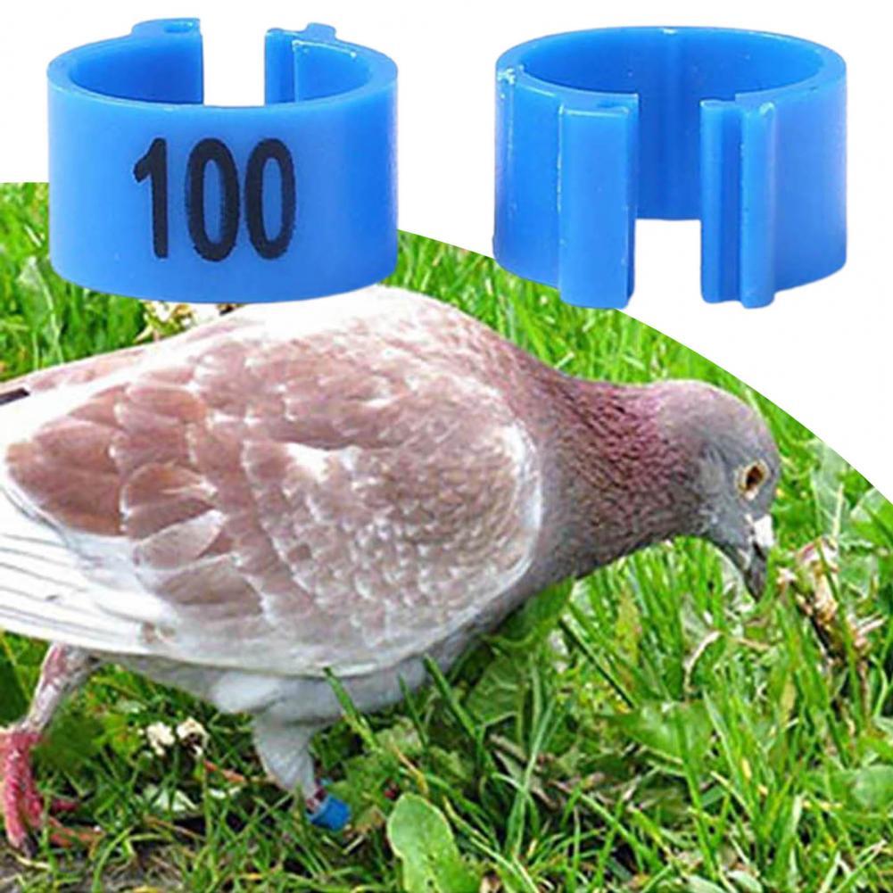 100Pcs Bird Been Band Milieuvriendelijke Eenvoudige Toepassing Plastic Gevogelte Identificatie Band Voor Pluimvee Voor Huisdier Product Vogel Accessoire