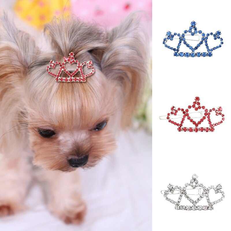 perro horquilla perro Accesorios para el pelo para mascotas cuidado pelo de perro para perros pequeños para mascotas de aleación de Clip de pelo del proveedor