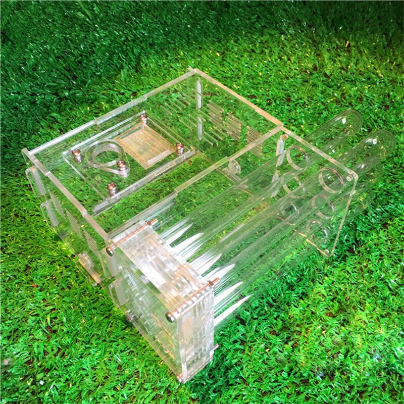 Fourmis en verre acrylique 15x14.5x8.5cm, ferme avec zone d&#39;alimentation, maison, usine, atelier d&#39;insectes, 6 Tubes à essai, fourmilière pour animaux de compagnie
