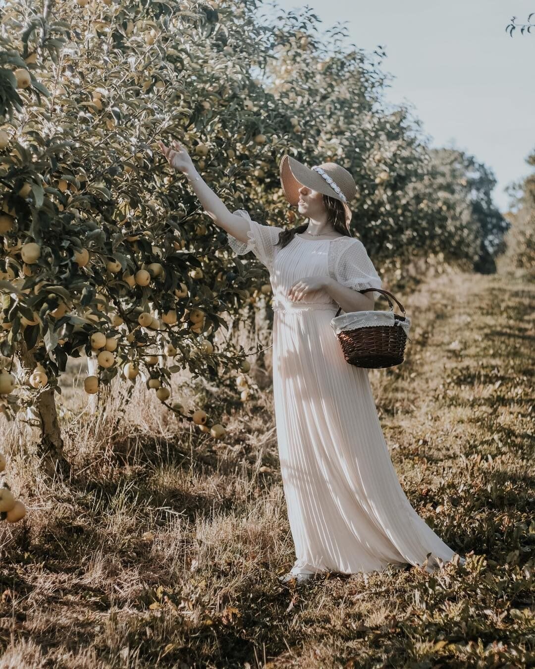 Praktische handgemaakte rieten mand rieten kampeerpicknickmand boodschappenmand opbergmand en handvat houten gekleurde rieten picknickmand