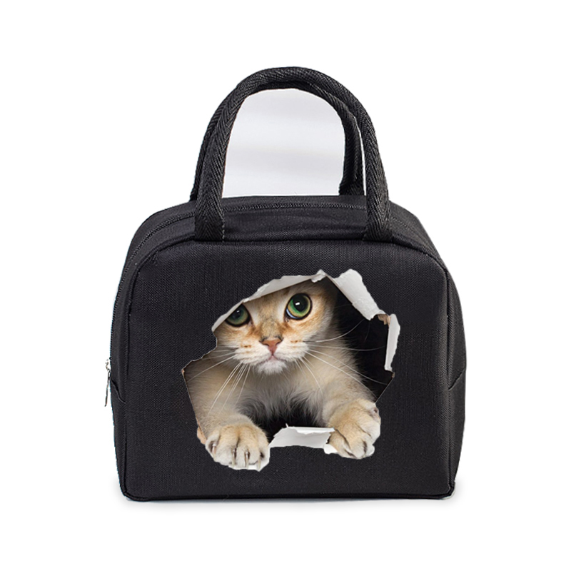 Lunch Bag for Women Men Insulated Portable 3D Cartoon Cats Multifunctional Bag Thermal Food Container School Kids Picnic Handbag: zgniły zielony