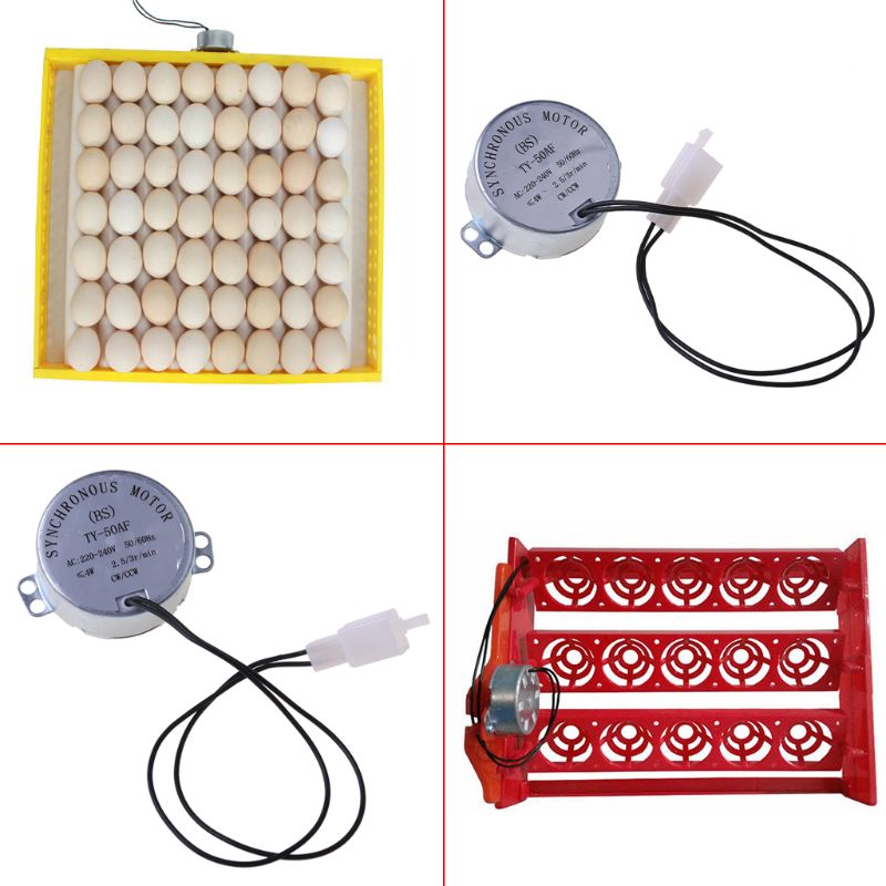 220V AC Poulet Oeuf Tourneur Moteur Composants Pour La Ferme Couveuse Incubateur Couveuse