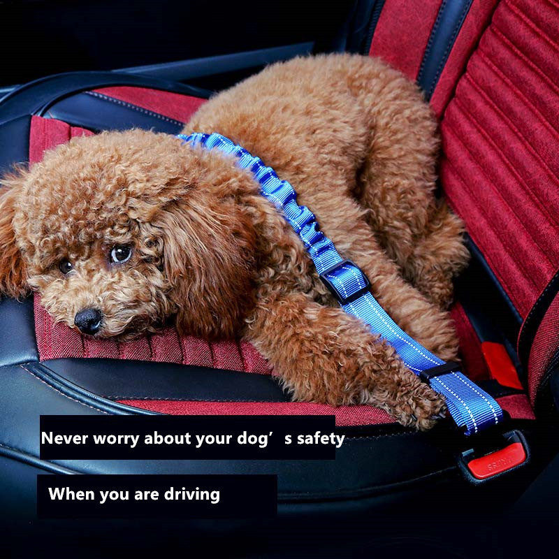 Hond Kat Autogordel Verstelbare Seat Belt Pet Veiligheidsgordel Lood Aangelijnd P Keten Reizen Clip Kraag Seat Lock Voor kleine Middelgrote Honden